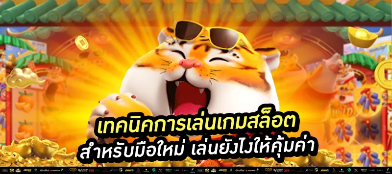 เทคนิคการเล่นเกมสล็อต